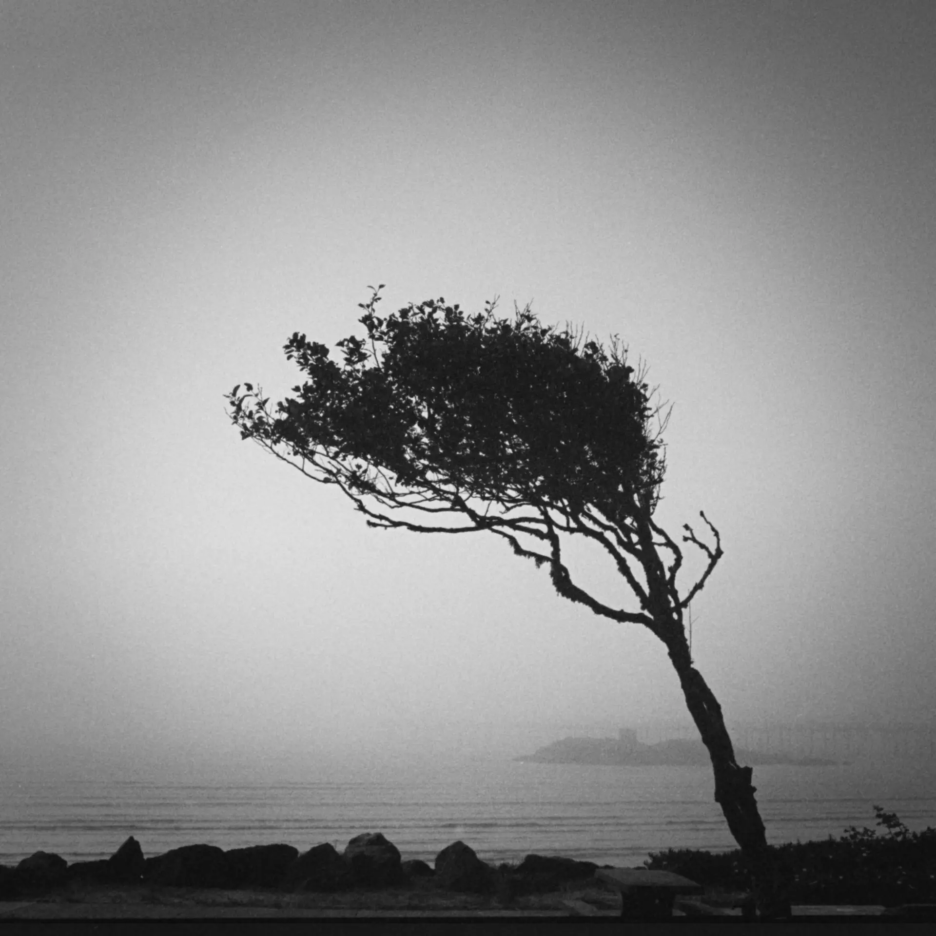 2024_cal_09