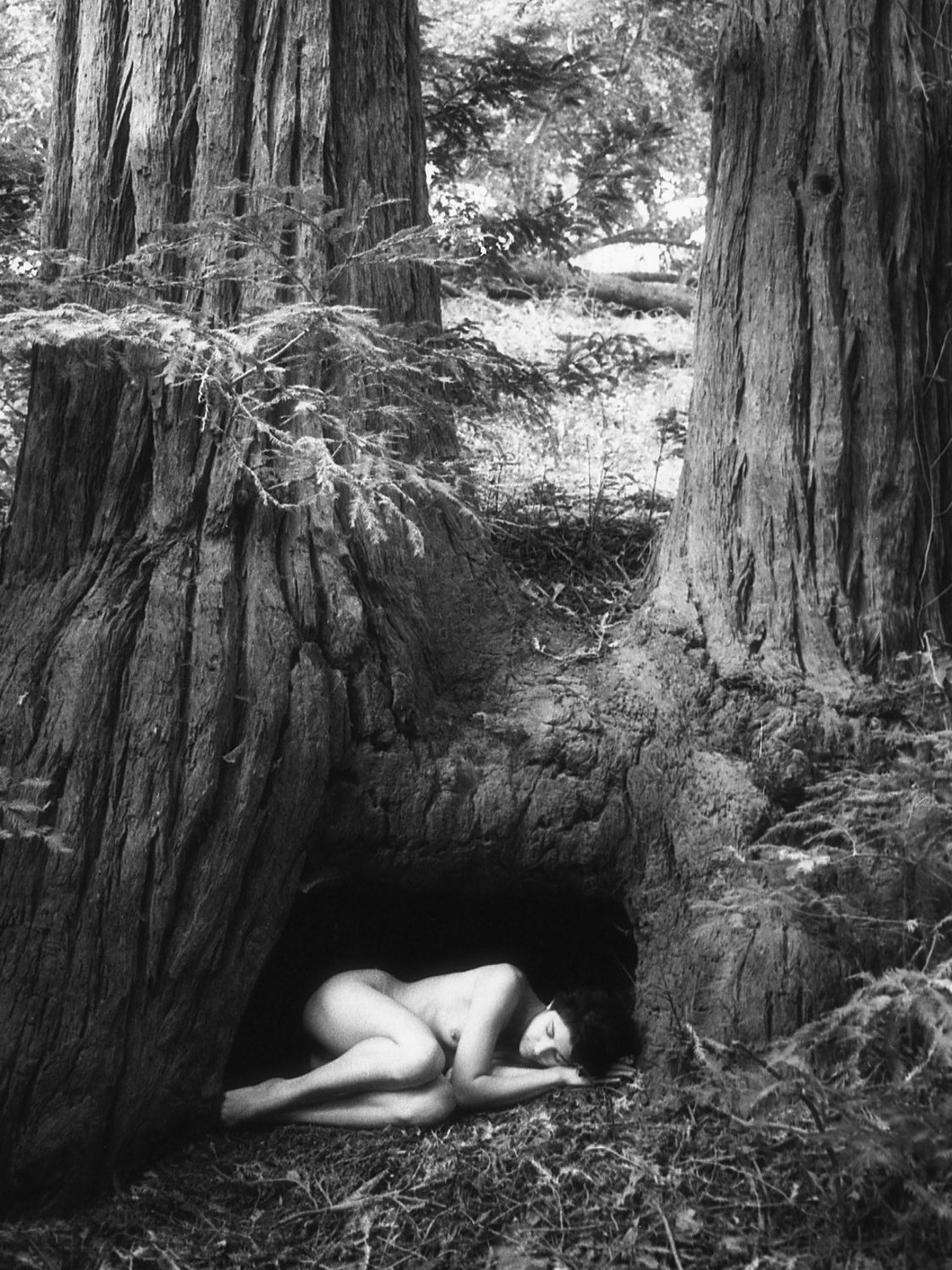 nature01