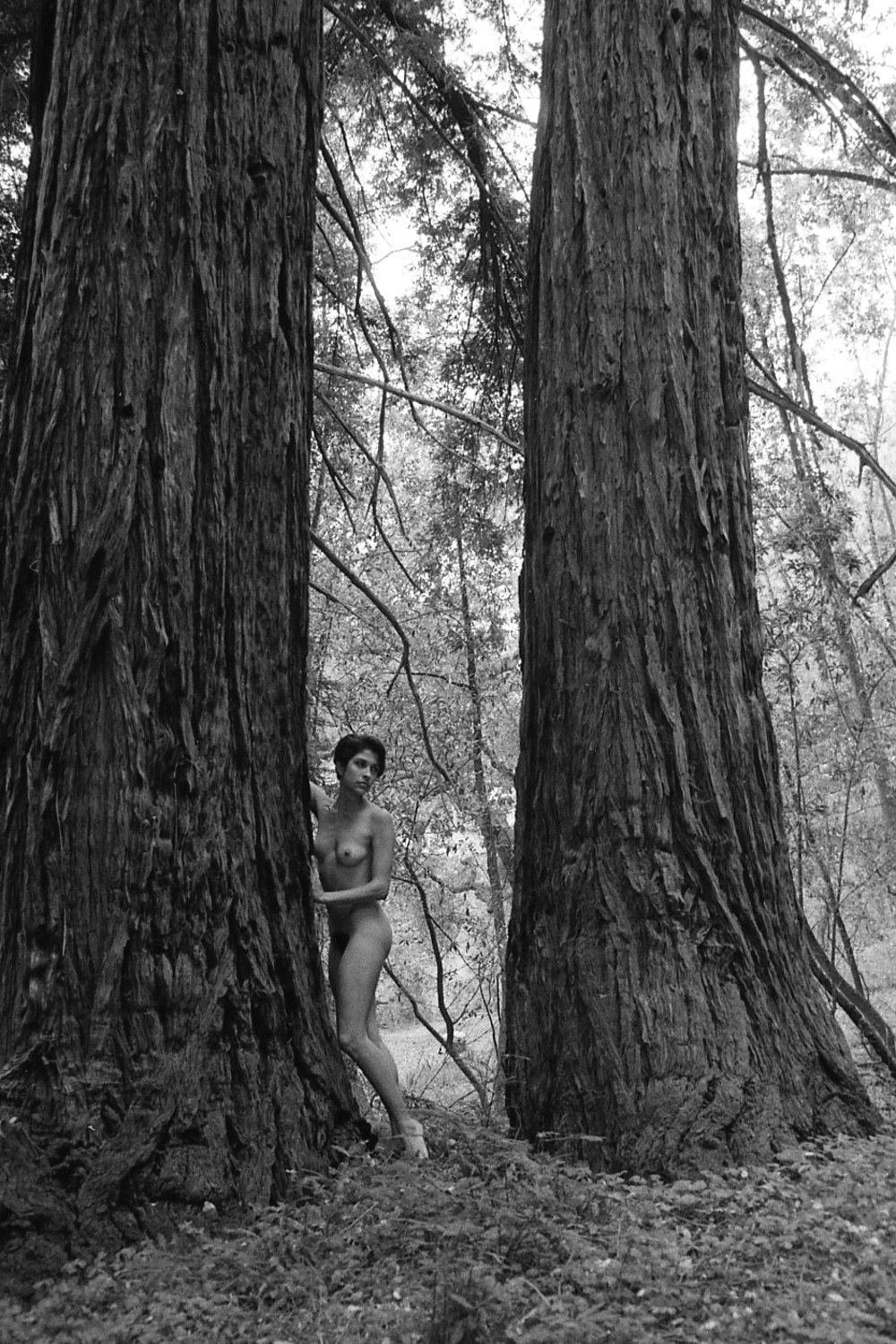 nature04
