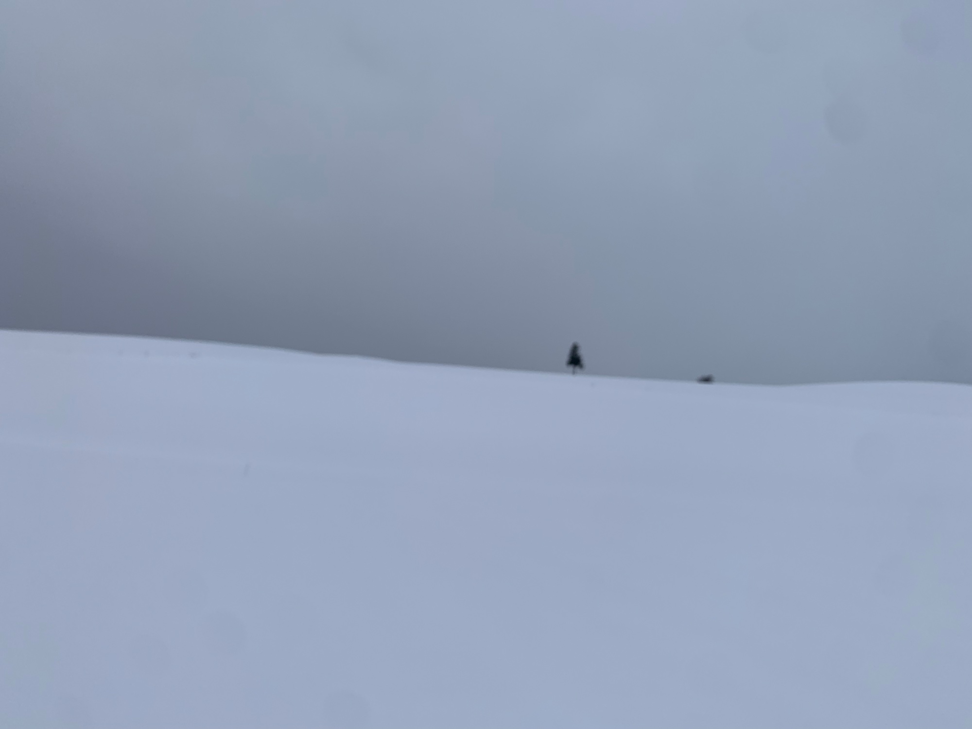 White-out, 2초의 여백