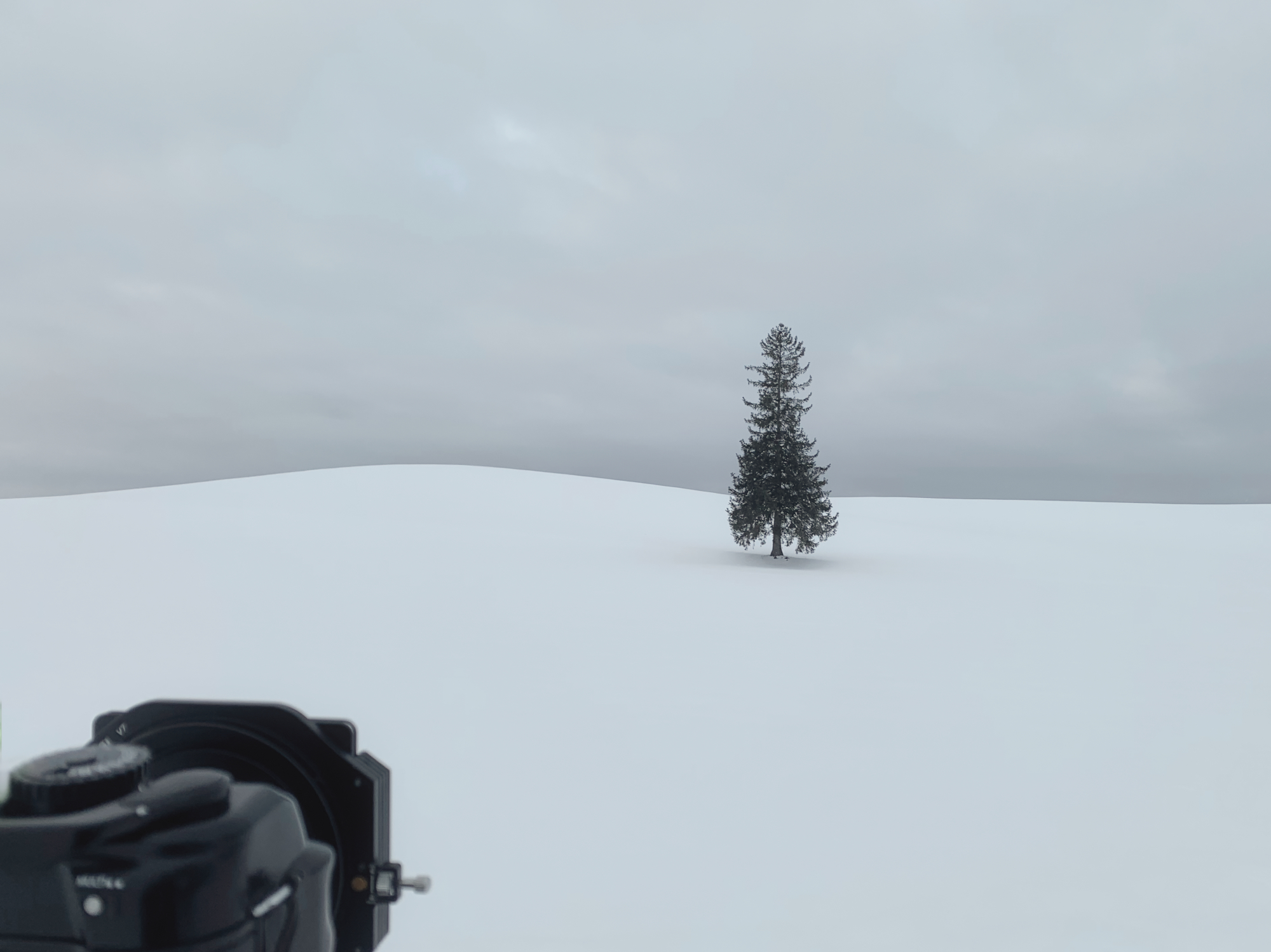 Hokkaido, 2026